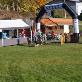 P1010147.JPG